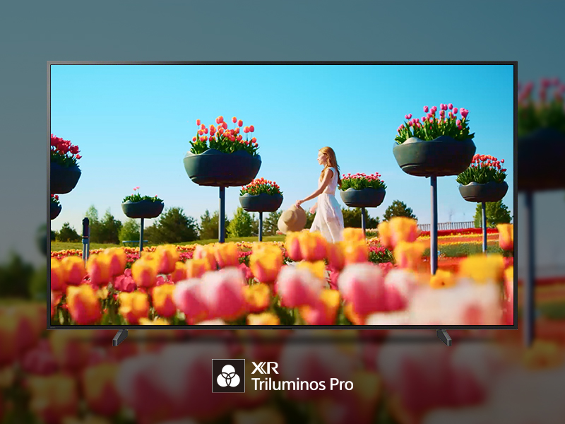 XR Triluminos Pro در تلویزیون‌های Sony چیست و چرا رنگ‌ها واقعی‌تر دیده می‌شوند؟